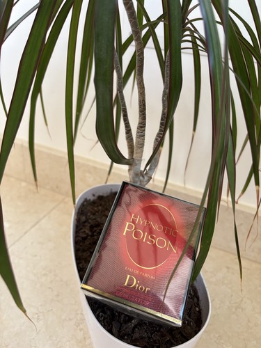 Dior hypnotic poison 100ml - poison,